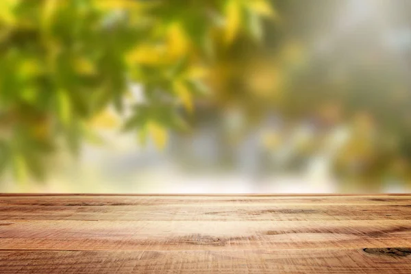 Wooden Empty Blur Forest Background — 스톡 사진