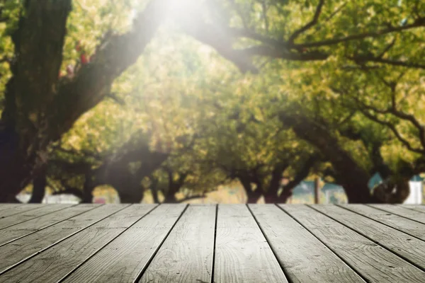Wooden empty and blur forest background.