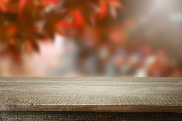 Деревянный Пустой Размытый Осенний Лес Фон — стоковое фото
