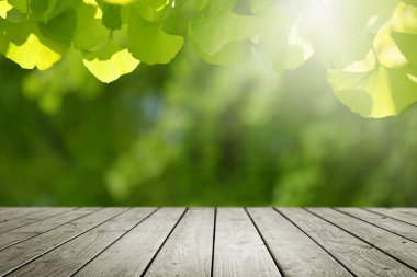 Wooden desk and blur green nature background.