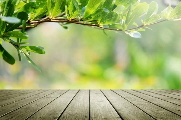 Ahşap masa ve yeşil yaprak arka plan.