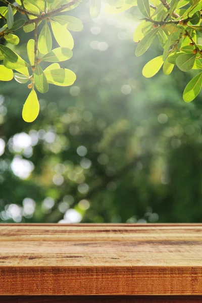 Mesa Madera Fondo Bosque Verde Borroso — Foto de Stock