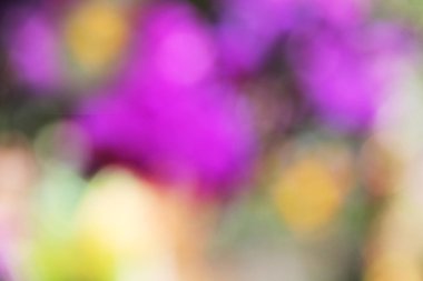 Soyut arka plan bulanık turuncu ve mor renk yumuşak ışık.