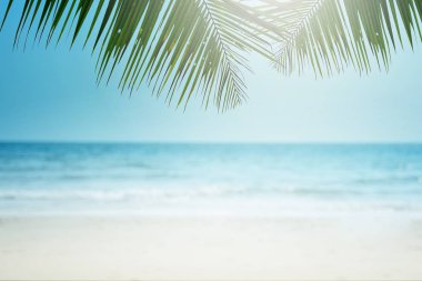 Palmiye ağacı ile tropikal plaj arka plan, Yaz.