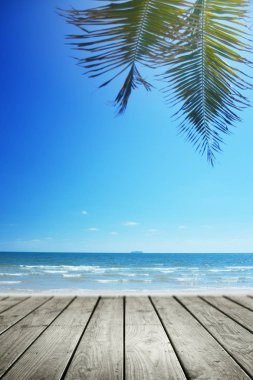 Palmiye ağacı ve boş ahşap plaj arka planı, Summer..