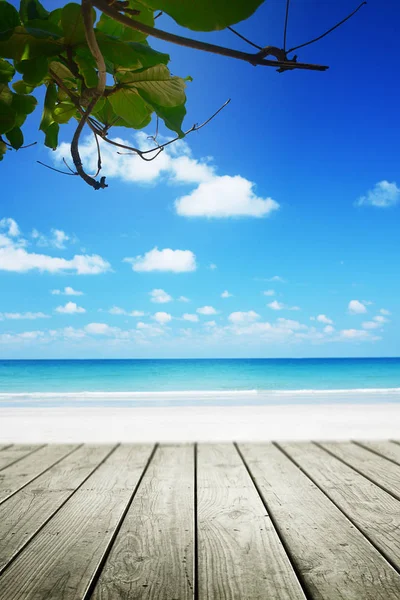 Praia Tropical Fundo Vazio Madeira Verão — Fotografia de Stock