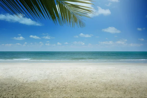 Praia Tropical Fundo Com Palmeira Verão — Fotografia de Stock