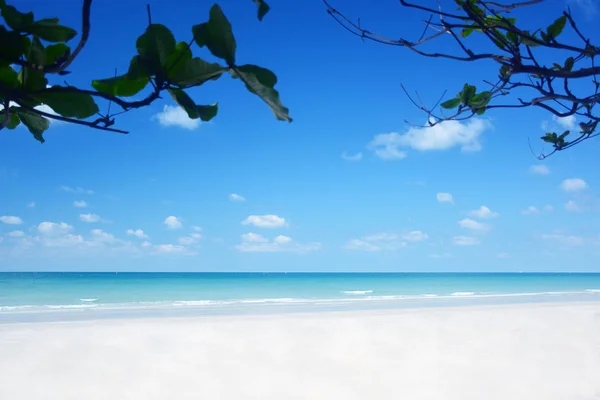 Praia Tropical Bonita Fundo Verão — Fotografia de Stock