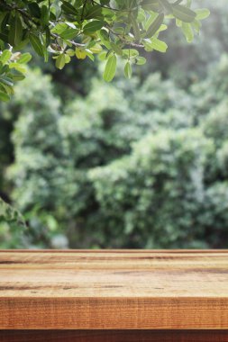 Tahta masa ve bulanık yeşil bahçe arka planı.