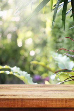 Tahta boş ve bulanık yeşil bahçe arka planı.