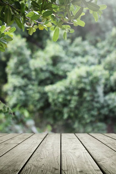 Tavolo Legno Verde Sfocato Natura Giardino Sfondo — Foto Stock