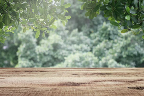 Деревянный Стол Размытый Зеленый Фон Сада Природы — стоковое фото
