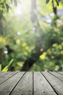 Tahta boş ve bulanık yeşil bahçe arka planı.