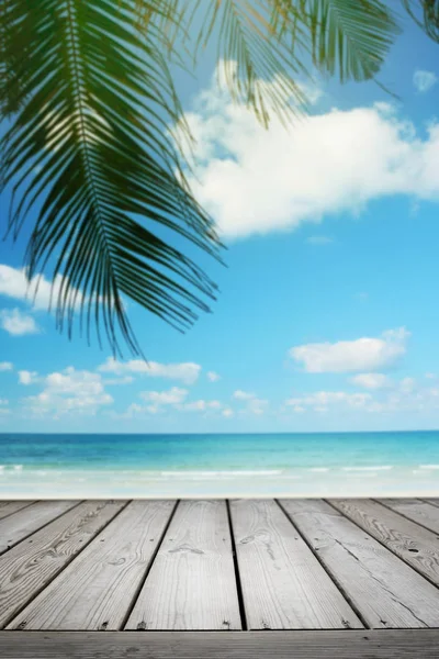 Palmiye ağacı ve boş ahşap ile Tropikal plaj arka plan, Yaz.