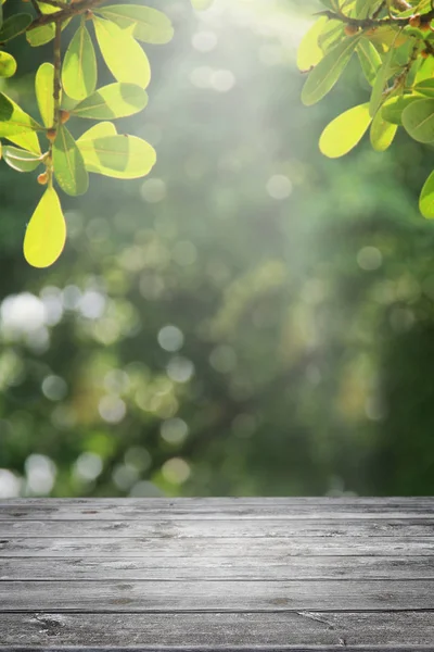 Boş ahşap masa ve bulanık bahçe arka planı.