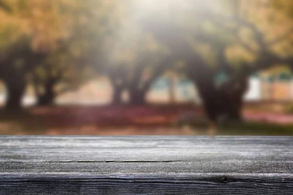 Wooden Table Beautiful Blurred Nature Autumn Forest Background — Stock Photo, Image