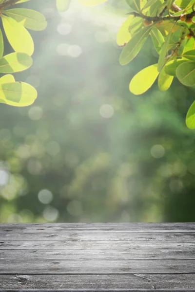 Tavolo Legno Vuoto Sfondo Del Giardino Natura Offuscata — Foto Stock