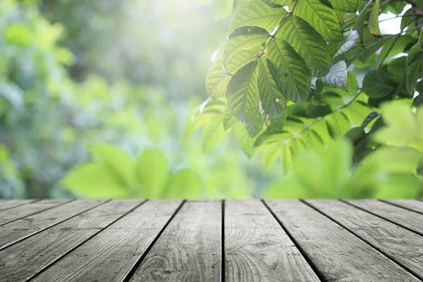 Güzel güneş ışığı bulanık yeşil bahçe arka planı ve ahşap masa..
