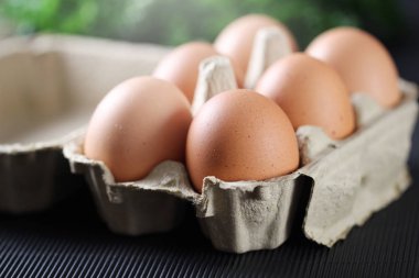 Siyah arka plandaki karton kutuda taze tavuk yumurtası..