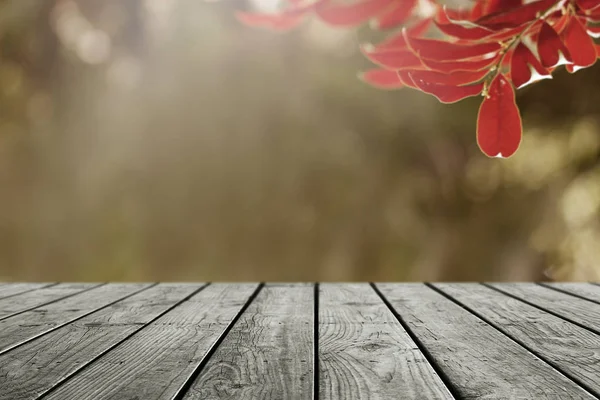 Ahşap masa ve bulanık yaprak tabiat sonbahar arkaplanı.