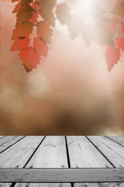 Wooden Empty Blurred Leaves Garden Autumn Background — Stock Photo, Image