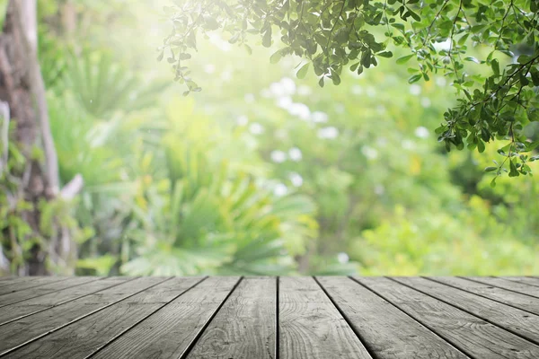 Scrivania Legno Verde Natura Foglia Giardino Sfondo — Foto Stock