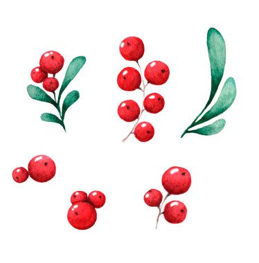 Kırmızı kutsal meyveler, elementler, beyaz üzerine izole edilmiş noel sembolleri..