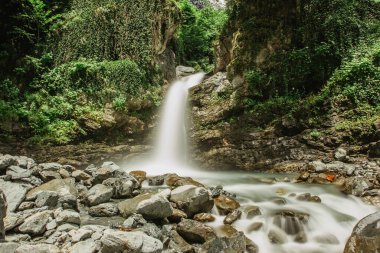 Ormanda saklı bir şelale. Akan su. Dağlarda akarsu. Tropikal doğa. Kayalar, nehir ve ağaçlar. Uzun soluklu su. Doğa manzarası. Temiz su, yeşil arkaplan