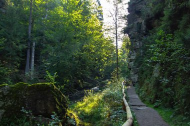 Edmund Gorge, Bohemian İsviçre Ulusal Parkı, Çek Cumhuriyeti. Peri masalı diyarı. Efsanevi güzel Elbe Kum Taşı Dağları manzarası. Yosun kaplı uçurumlar ve berrak su..