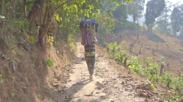 Cámara Lenta Vídeo Viajes Locales Senderismo Hombre Selva Tropical Primavera — Vídeos de Stock