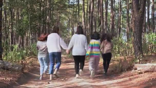 Vdo Grupo Amigos Mujeres Multiétnicas Viajan Parque Natural Local Con — Vídeo de stock