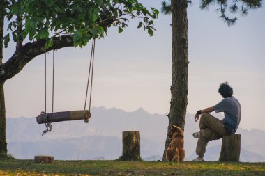 peyzaj ve seyahat konsepti yalnız başına çalışan bir adam tablet kullanır ve köpekle ahşap salıncakta büyük bir ağaç ve dağ tabakasının altında oynar.