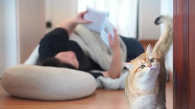 Oturma odasında uzanıp kitap okurken Asyalı bir kadınla kedilerin refahı ve refahı konsepti