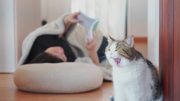 在客厅里躺下与亚洲女人一起玩猫的健康与幸福的概念 — 图库视频影像