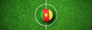 Futbol karşı Kamerun renklerde astro çim görünümünü kapat