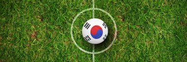 Futbol çim karşı Güney Kore renklerde