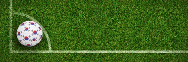 Futbol yeşil çim karşı Güney Kore renklerde