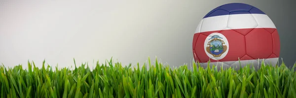 Football Costa Rica Colours Close Grass Mat — Stock Photo, Image