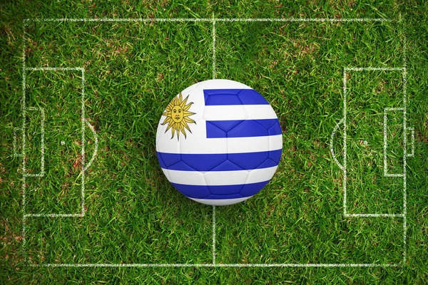 Fútbol Colores Uruguay Contra Hierba — Foto de Stock