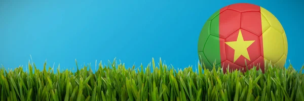 Football Cameroon Colours Close Grass Mat — Stock Photo, Image