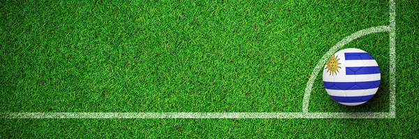 Fußball Uruguayischen Farben Gegen Nahsicht Auf Astro Rasen — Stockfoto