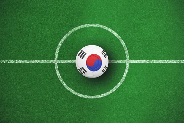Futbol futbol alanı planı karşı Güney Kore renklerde