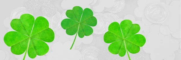 Digital Composite Composed Image Green Clover — Stock Photo, Image