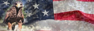 Yakın çekim tam kare Amerikan bayrağı