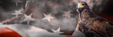 Amerikan bayrağı Close-up karşı kartal