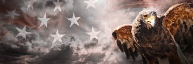 Buruşuk Amerikan bayrağı tam kare karşı forma kanatlı kartal