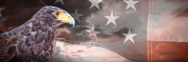 Nahaufnahme Des Adlers Gegen Nahaufnahme Der Rot Weißen Amerikanischen Flagge — Stockfoto