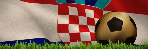 Grass Growing Outdoors Digitally Generated Croatian National Flag — Stock Photo, Image