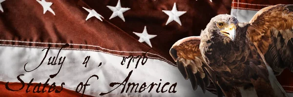 День Независимости Против Крупного Плана Красно Белого Американского Флага — стоковое фото
