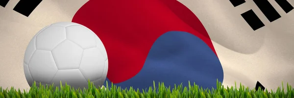 韓国の共和国旗に対して屋外成長する草 — ストック写真